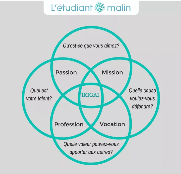 comment remplir son ikigai