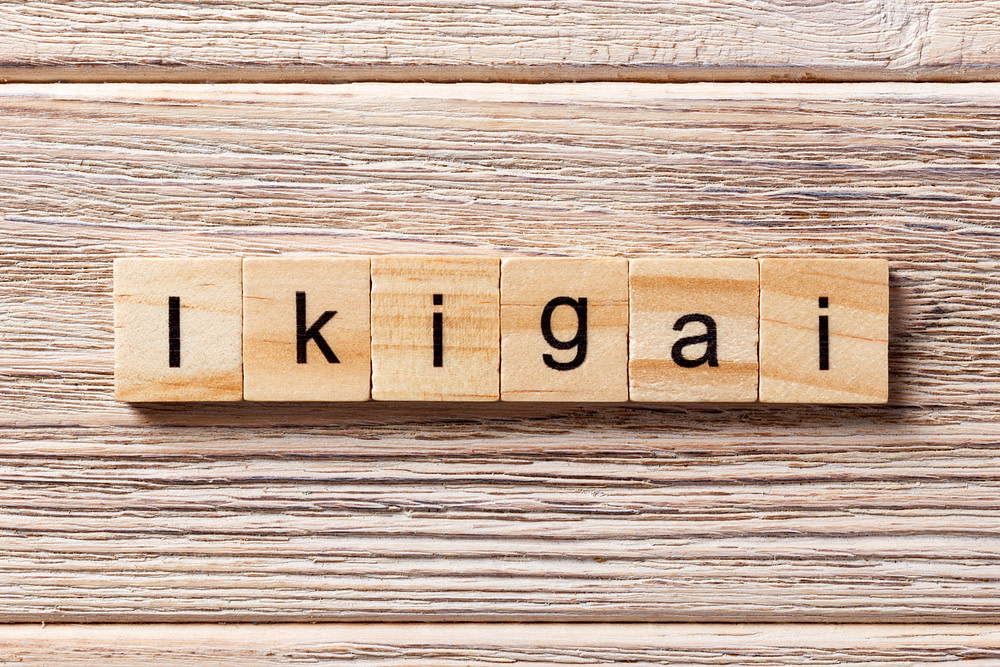 comment remplir son ikigai