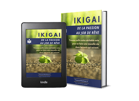 trouver son ikigai pdf