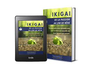 trouver son ikigai pdf