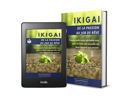 guide ikigai trouver son ikigai pdf